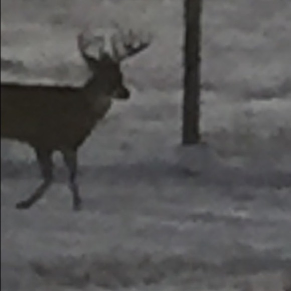 Meet your Posher, Adam - Picture 1 of 1